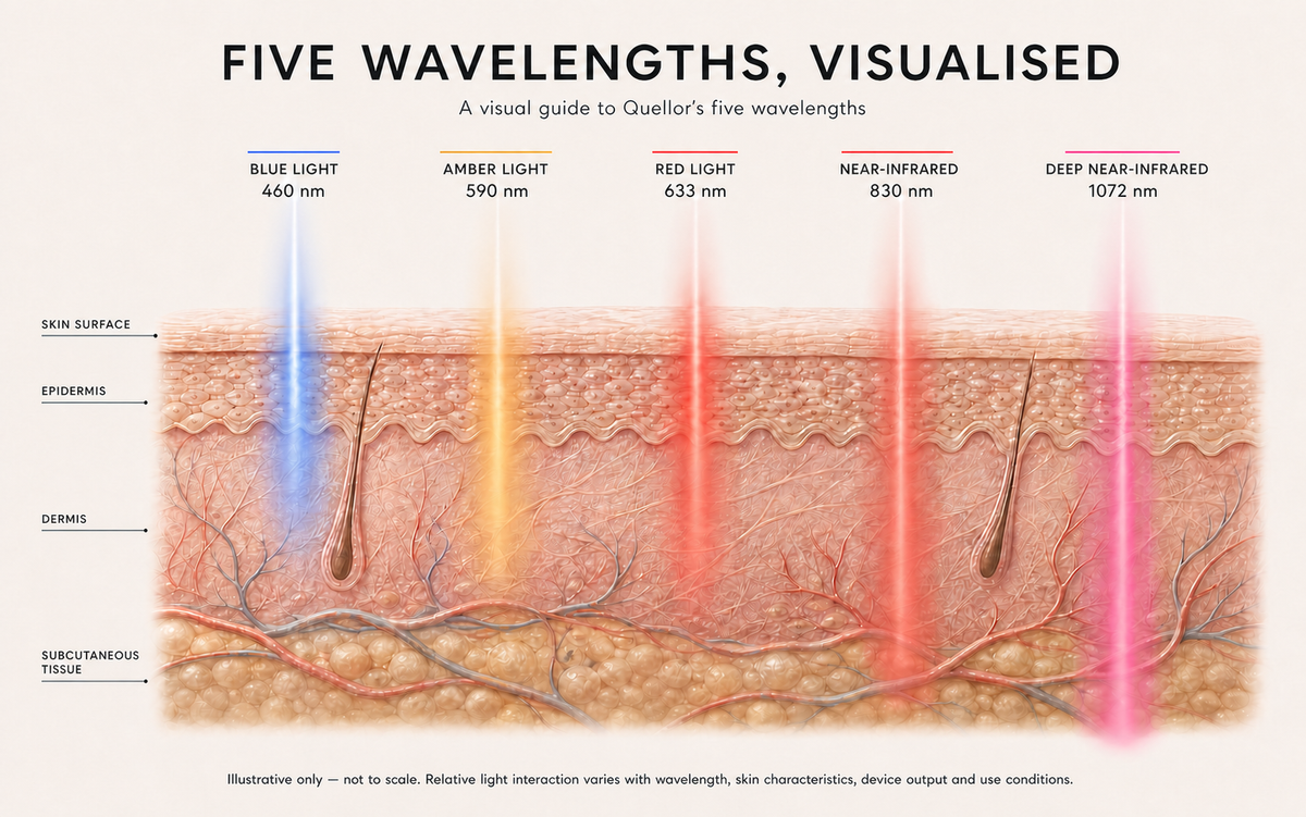 Illustration showing how Quellor's five visible and near-infrared wavelengths interact at different depths beneath the skin surface